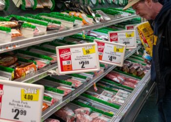 ‘An invisible epidemic’: America’s workers are going hungry as food insecurity bites