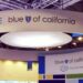 Blue Shield of California taps Amazon, Mark Cuban’s Cost Plus Drugs for its pharmacy network Blue Shield of California taps Amazon, Mark Cuban’s Cost Plus Drugs for its pharmacy network