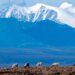 Biden administration cancels 7 remaining oil and gas leases Trump gave in Alaska’s Arctic Refuge Biden administration cancels 7 remaining oil and gas leases Trump gave in Alaska’s Arctic Refuge