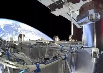 SpaceX wins first Pentagon contract for Starshield, its satellite network for military use