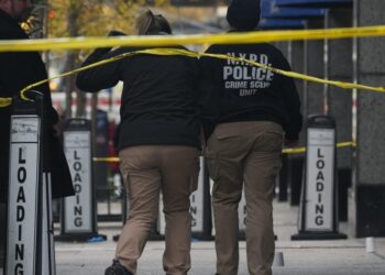 Security businesses’ phones are ringing off the hook following the assassination of UnitedHealthcare CEO