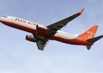 The Boeing 737-800, the model that crashed in South Korea, is one of the world’s most popular aircraft