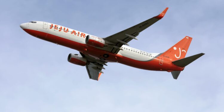 The Boeing 737-800, the model that crashed in South Korea, is one of the world’s most popular aircraft