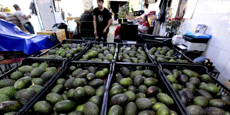 Chipotle downplays looming Trump tariffs, says only half of its avocados are from Mexico Chipotle downplays looming Trump tariffs, says only half of its avocados are from Mexico