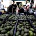 Chipotle downplays looming Trump tariffs, says only half of its avocados are from Mexico Chipotle downplays looming Trump tariffs, says only half of its avocados are from Mexico