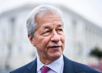 Jamie Dimon calls U.S. government ‘inefficient’ and says Elon Musk’s DOGE effort ‘needs to be done’