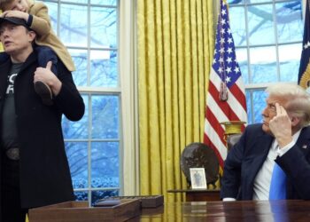 Trump offers mixed praise on Elon Musk — ‘seriously high IQ individual’ who has his faults