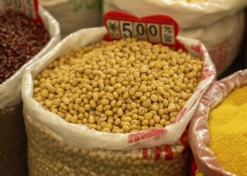 Beijing’s tariffs on U.S. farm imports kick in as Trump’s trade war threatens China’s struggling economy