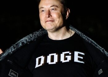 Elon Musk under pressure to quit DOGE as crucial Tesla earnings call looms
