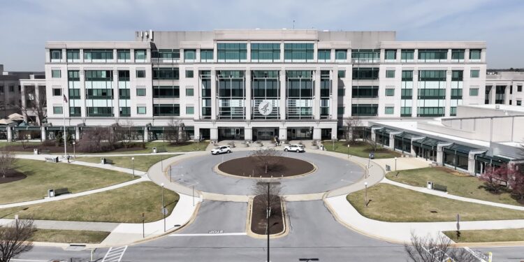 Medicare, Medicaid agency cuts jobs from minority health office, other divisions, as RFK Jr. guts U.S. health department Medicare, Medicaid agency cuts jobs from minority health office, other divisions, as RFK Jr. guts U.S. health department