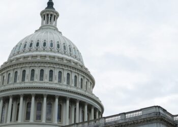 U.S. risks losing ‘reliable investment’ status, Allianz GI manager says U.S. risks losing ‘reliable investment’ status, Allianz GI manager says