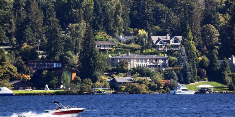 The U.S. added a thousand new millionaires a day in 2024: Report