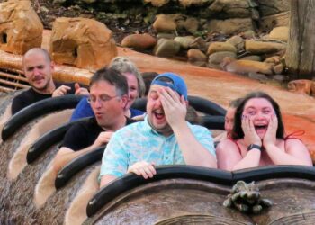 Disney adults (and other theme park lovers) get their own dating app with Single Riders