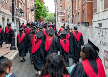 AI is gutting the next generation of talent: In tech, job openings for new grads have already been halved