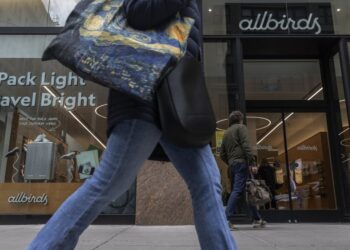 How Allbirds plans to overcome having started as a fad