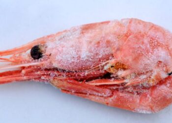 Walmart recalls potentially radioactive frozen shrimp sold in 13 states