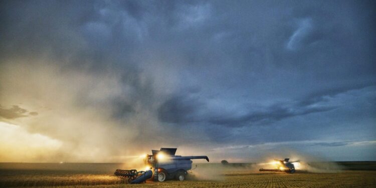 A once-in-a-generation economic crisis in rural America means this year could be the last one for many farmers as Trump-Xi call offers no relief | Fortune A once-in-a-generation economic crisis in rural America means this year could be the last one for many farmers as Trump-Xi call offers no relief | Fortune