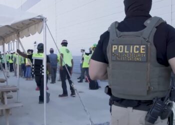 What to know about the Hyundai-LG plant immigration raid in Georgia