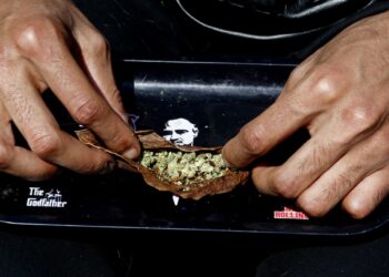 ‘Trump effect’ raises hopes for cannabis rally as investors bet on federal reforms, softer marijuana stance